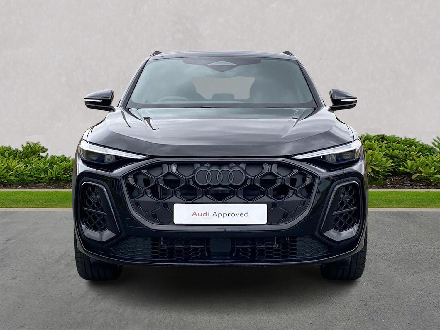 Used Audi Q5 2025 for sale - 76504927: Photo 5