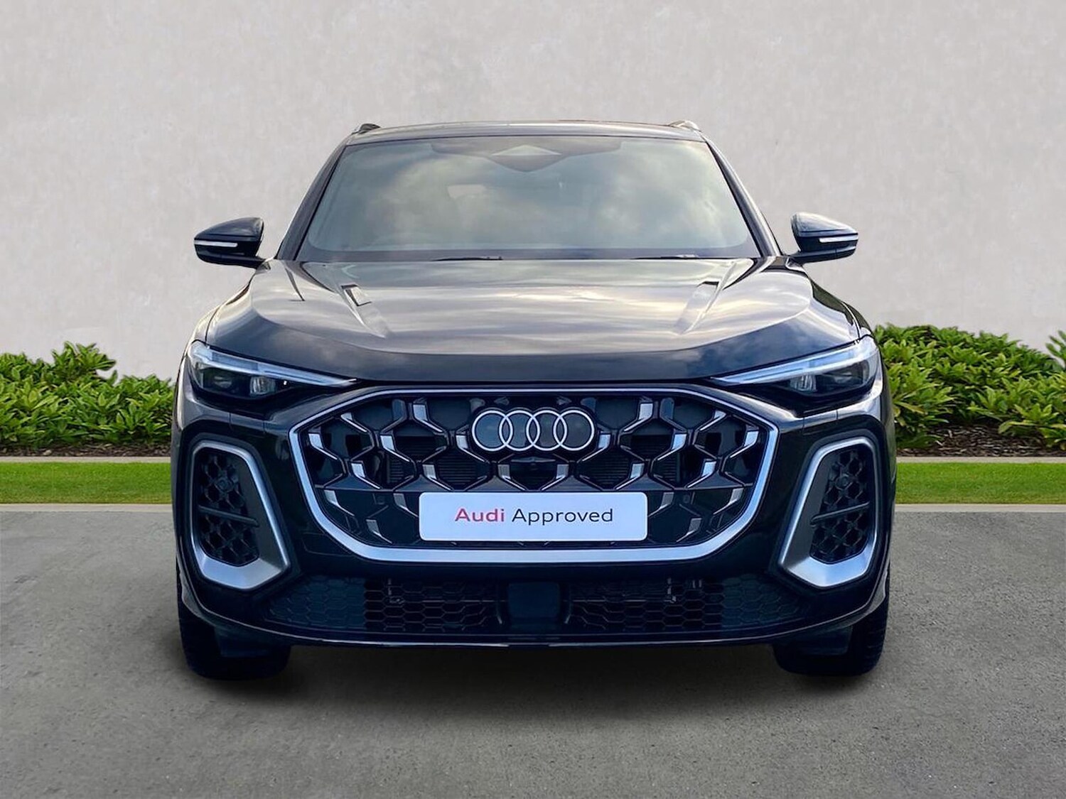 Used Audi Q5 2025 for sale - 78193061: Photo 7