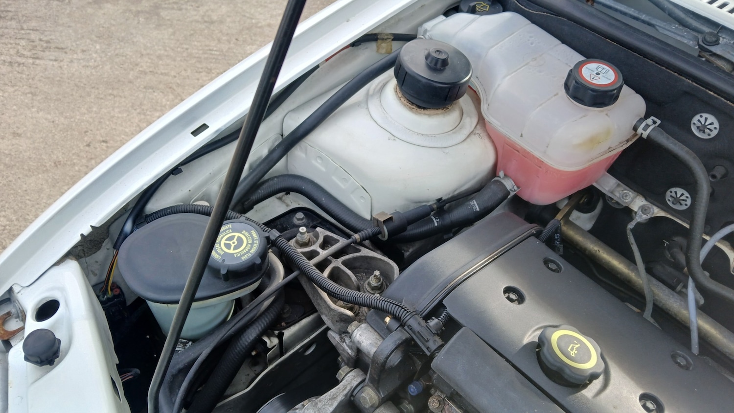 Used Ford Fiesta 1997 for sale - 77578983: Photo 11