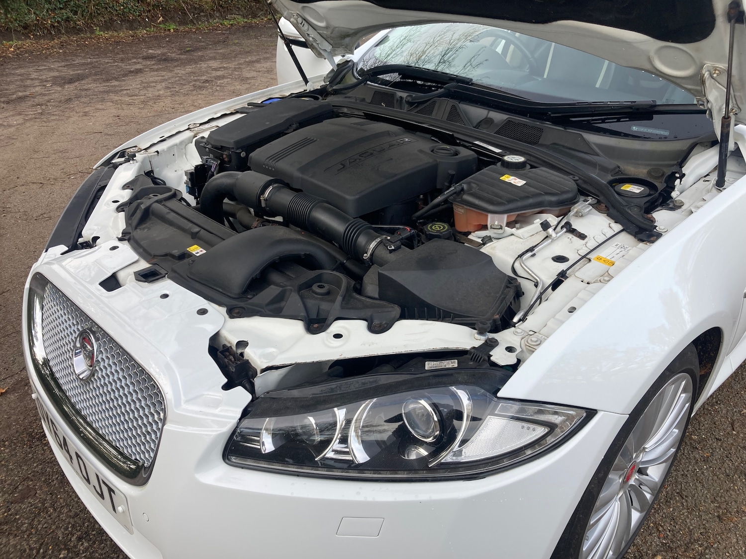 Used Jaguar XF 2014 for sale - 76554417: Photo 42