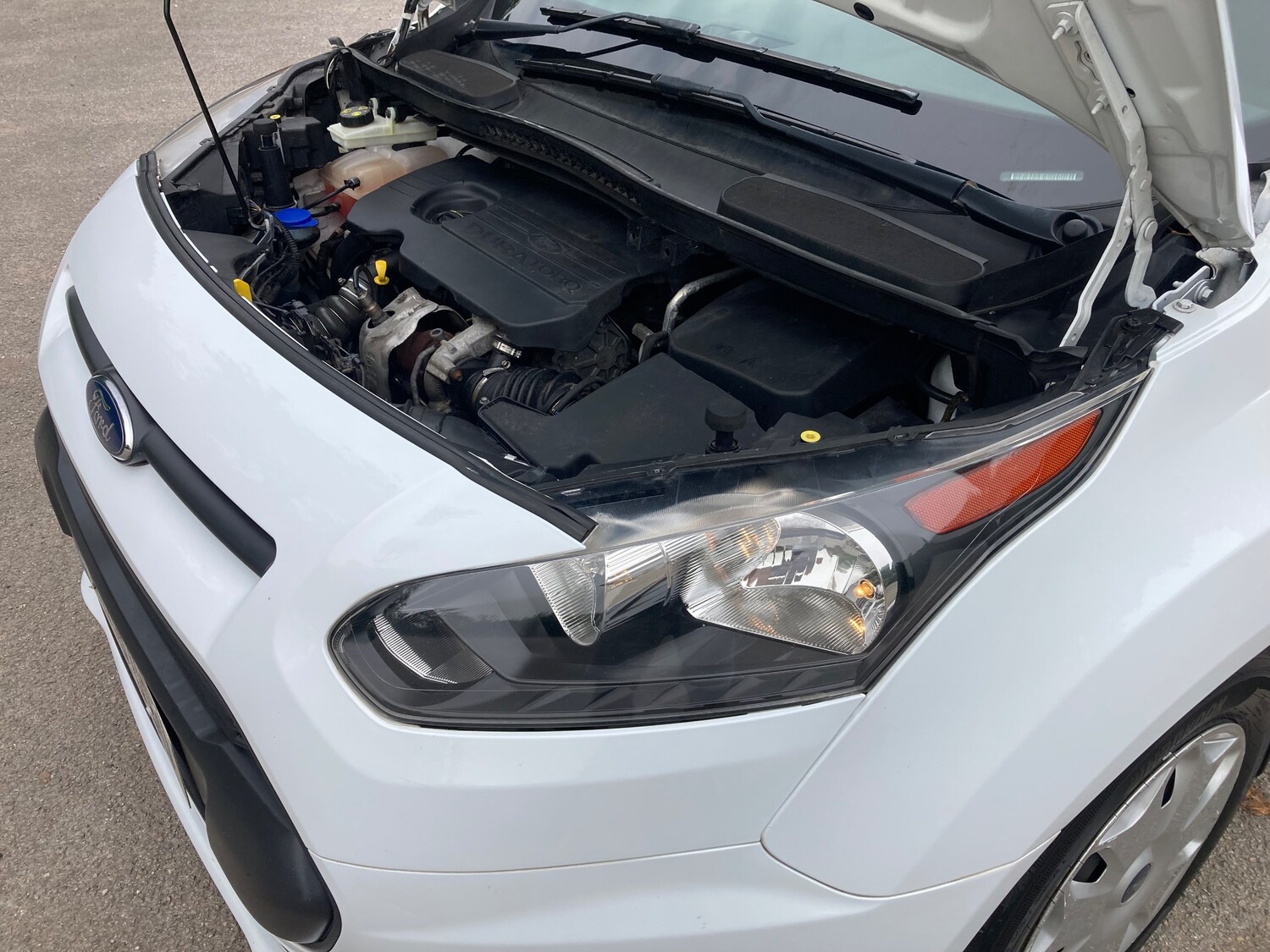 Vehicle 31