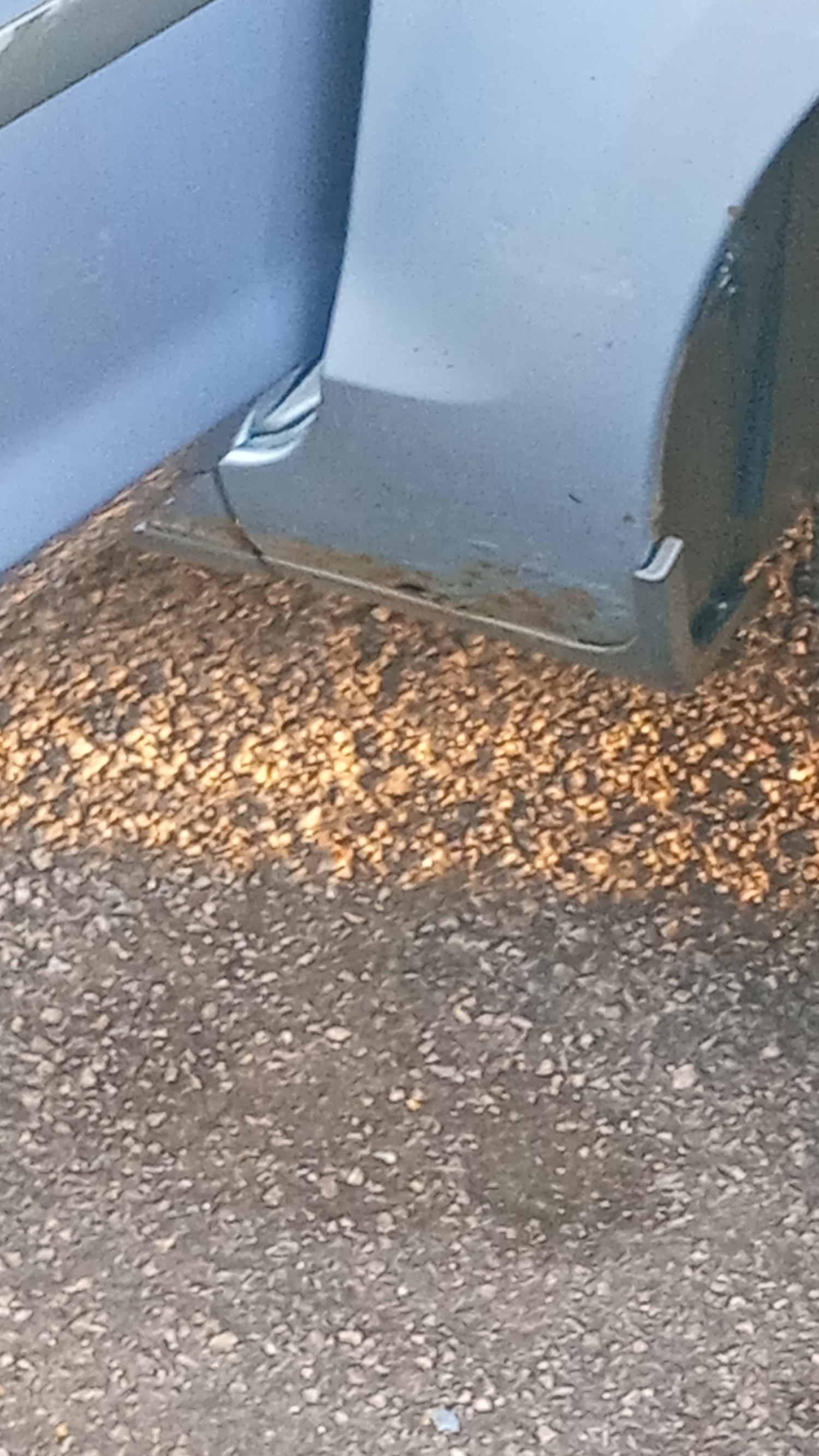 Used Ford Focus 2007 for sale - 77129689: Photo 14