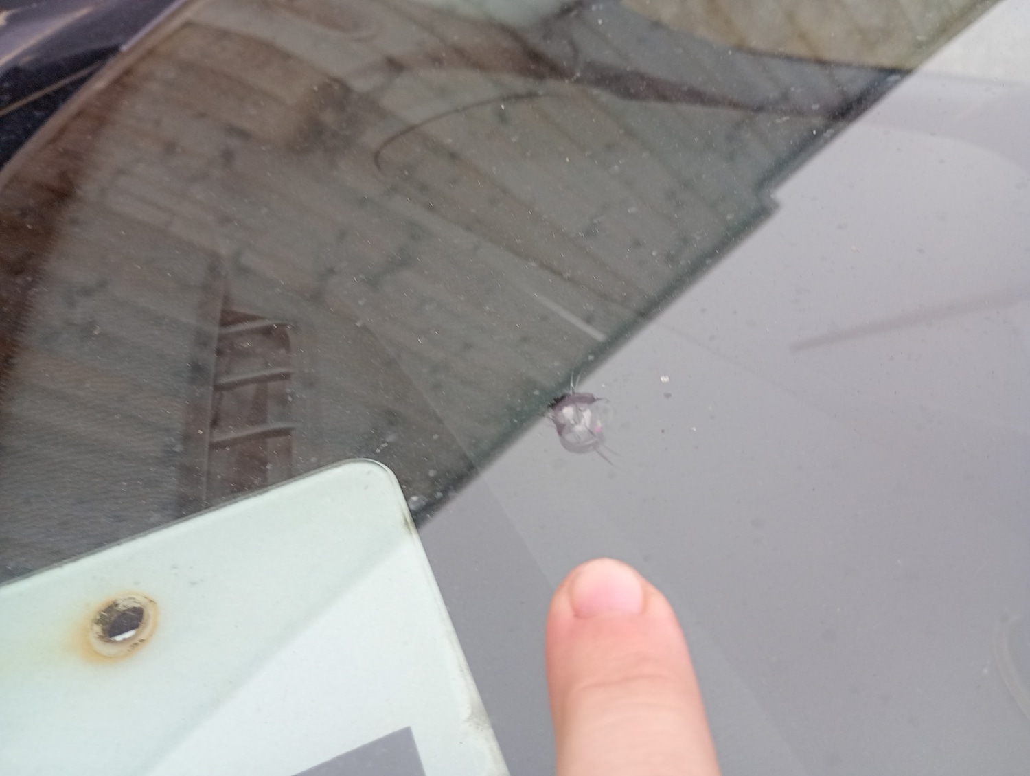 Used Mazda Mazda2 2015 for sale - 77187096: Photo 12