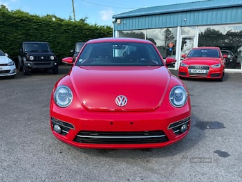Used Volkswagen Beetle 2017 for sale - 79781575: Photo