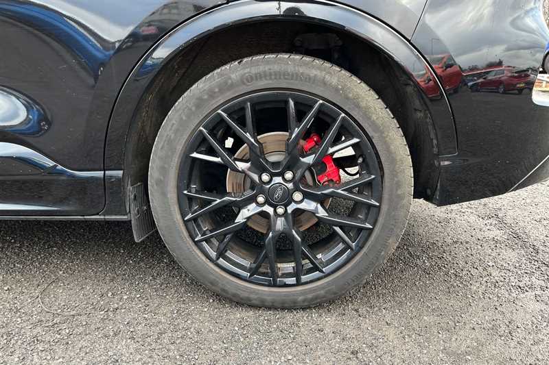 Used Ford Kuga 2024 for sale - 76805748: Photo 11