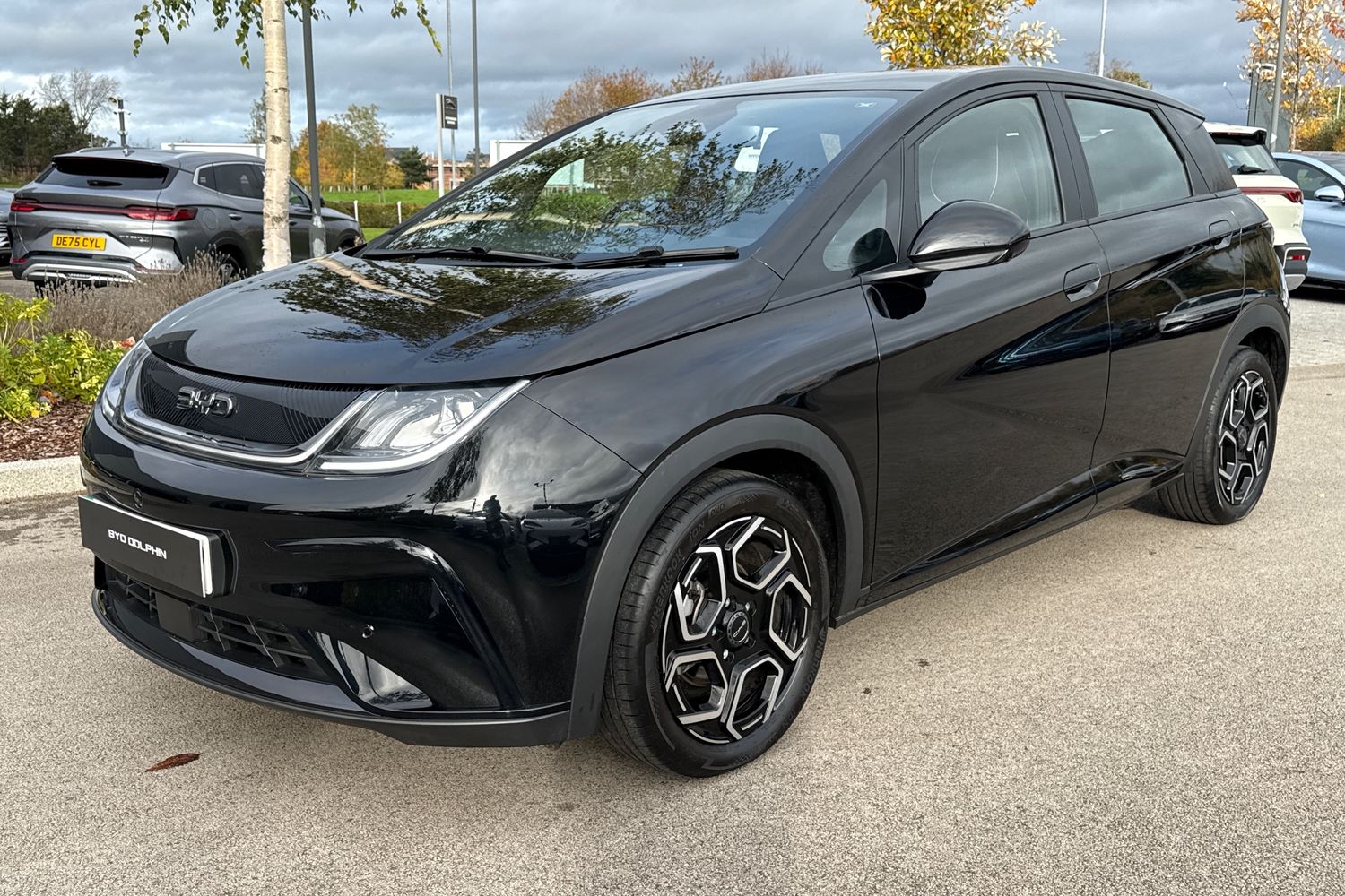 Used BYD Dolphin 2025 for sale - 76346460: Photo 25
