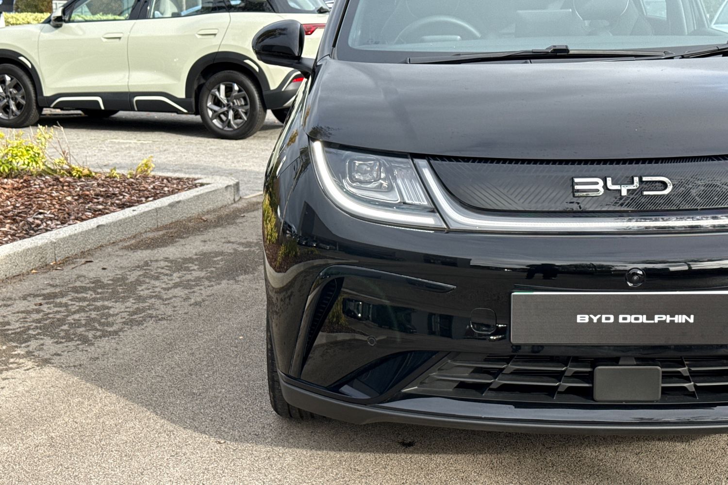 Used BYD Dolphin 2025 for sale - 76346460: Photo 26