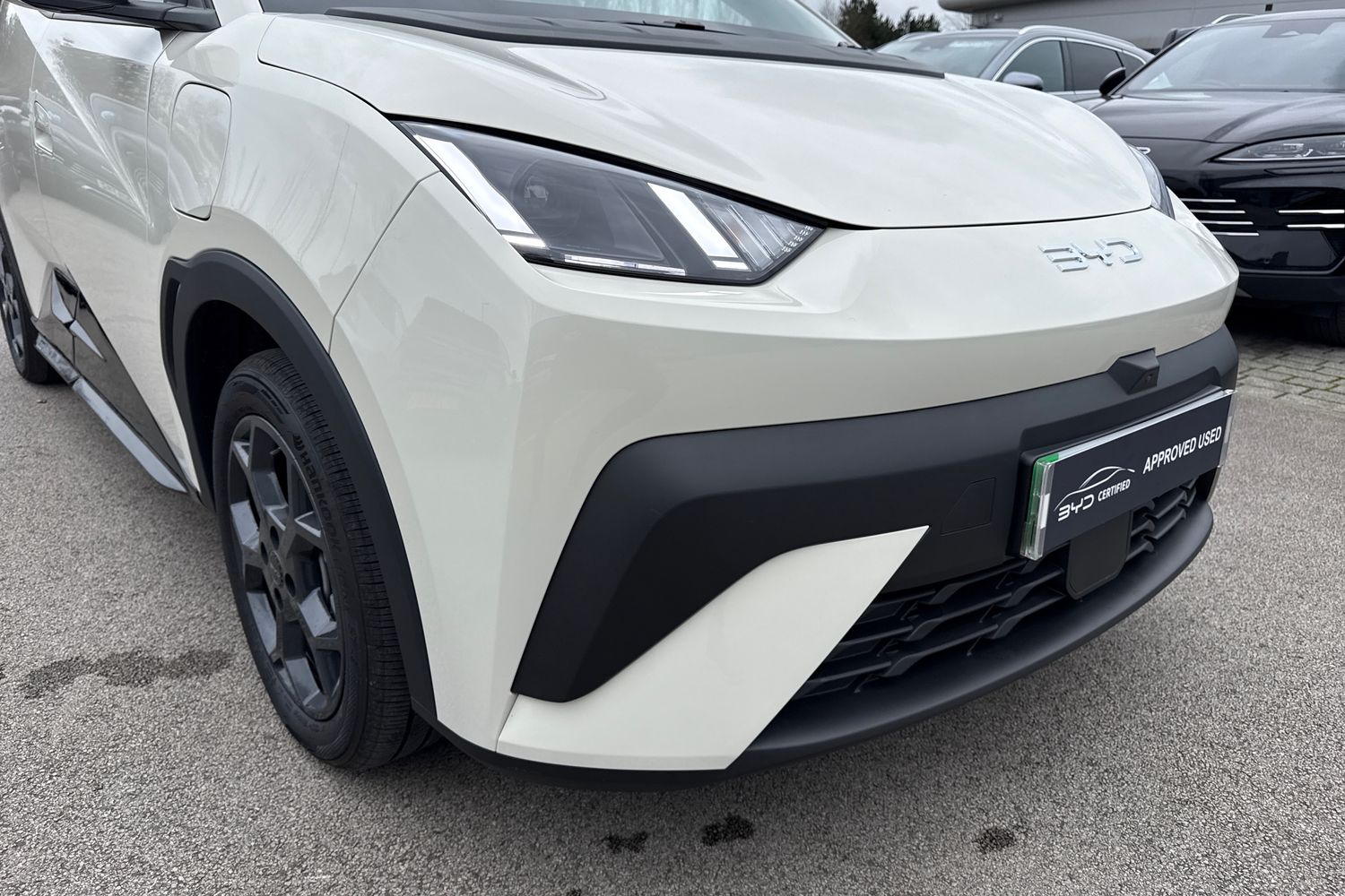 Used BYD Dolphin 2025 for sale - 77199362: Photo 17