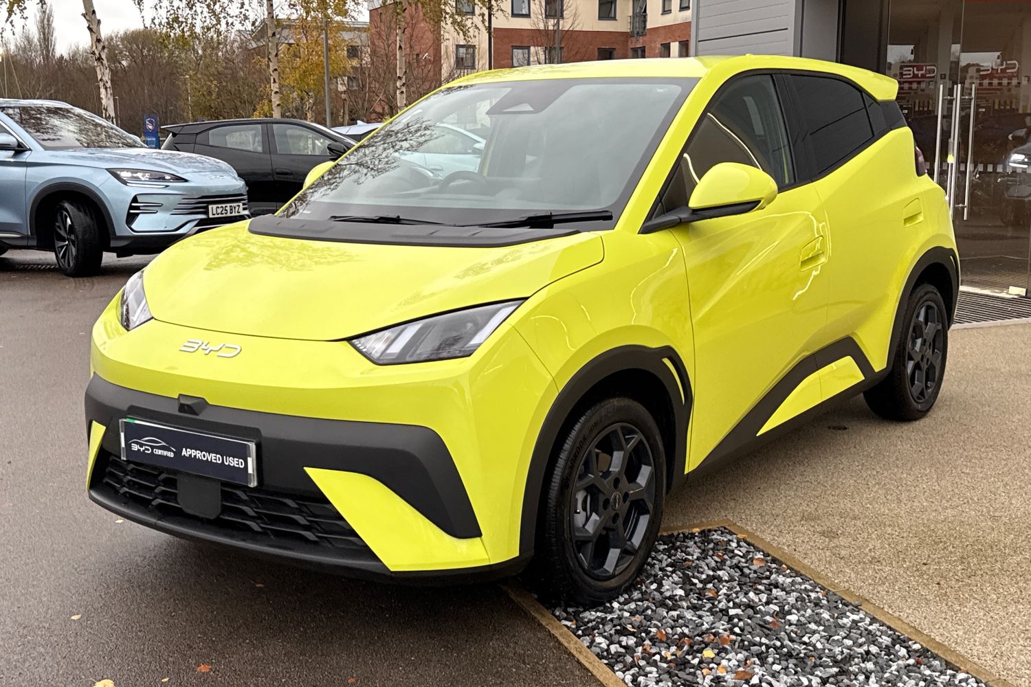 Used BYD Dolphin 2025 for sale - 76820014: Photo 36