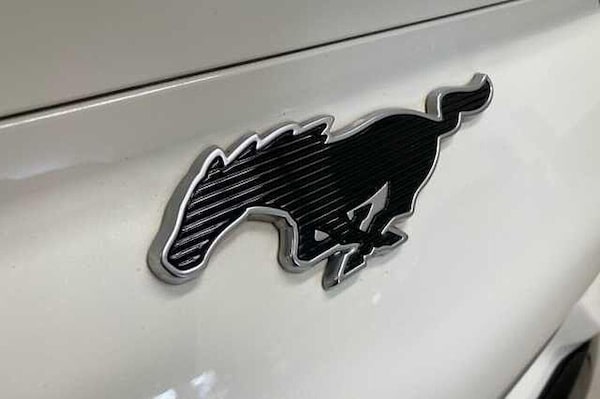 Used Ford Mustang Mach-E 2022 for sale - 76282887: Photo 19