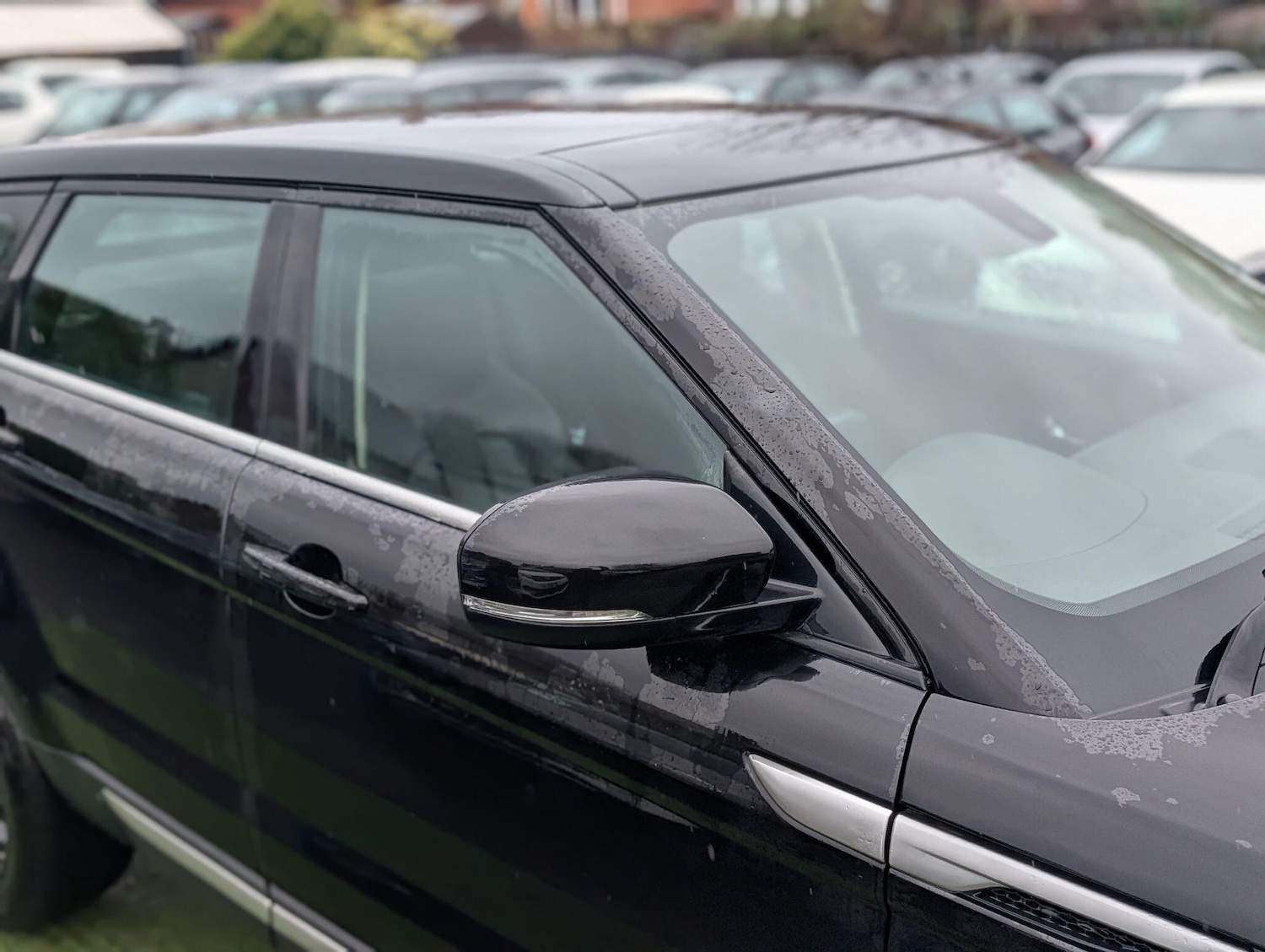 Used Land Rover Range Rover Evoque 2013 for sale - 76786440: Photo 36