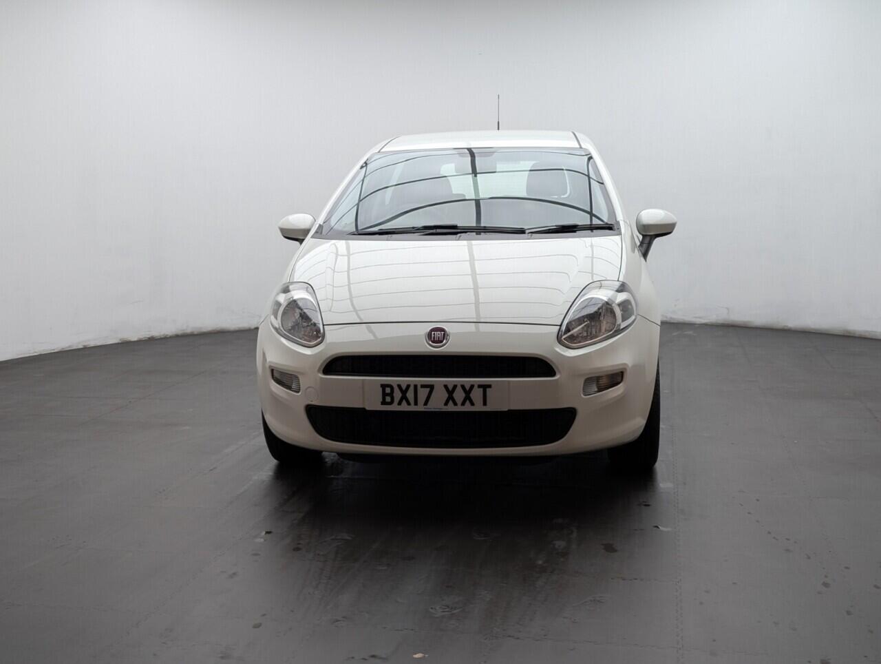 Used Fiat Punto 2017 for sale - 76765942: Photo 3
