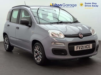 Used Fiat Panda 2021 for sale - 79504324: Photo