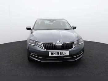 Used Skoda Octavia 2019 for sale - 79709741: Photo
