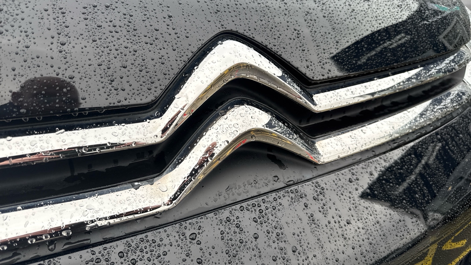 Used Citroen Dispatch 2023 for sale - 77244466: Photo 42