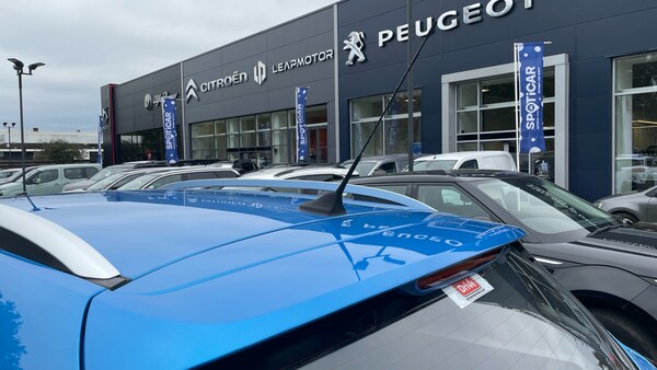 Used MG MG ZS 2021 for sale - 76086041: Photo 46