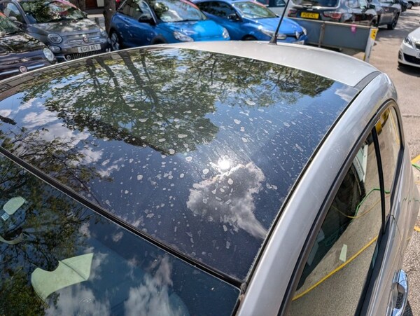 Used Fiat 500 2010 for sale - 74619703: Photo 42