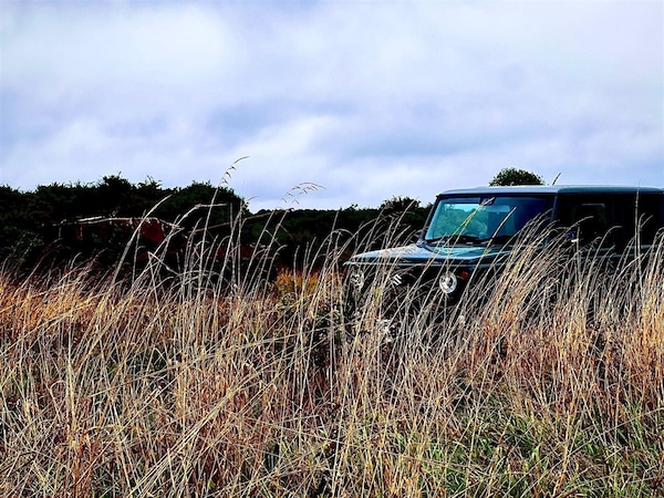 Used Suzuki Jimny 2024 for sale - 75570575: Photo 9