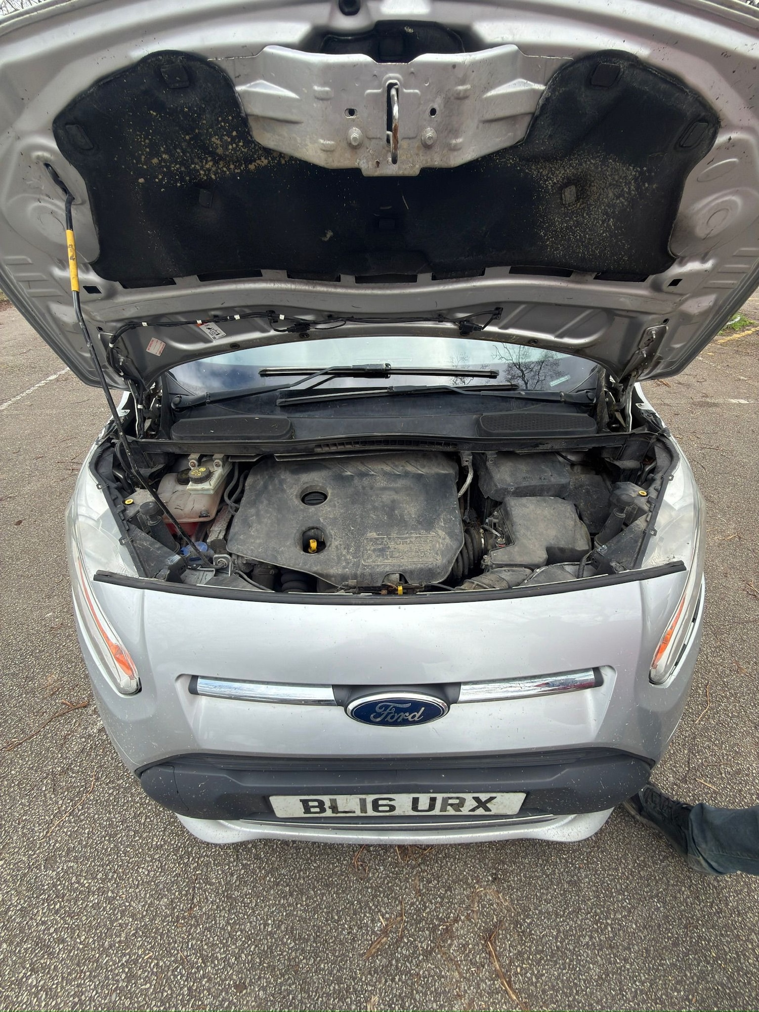 Used Ford Transit Connect 2016 for sale - 77677251: Photo 14