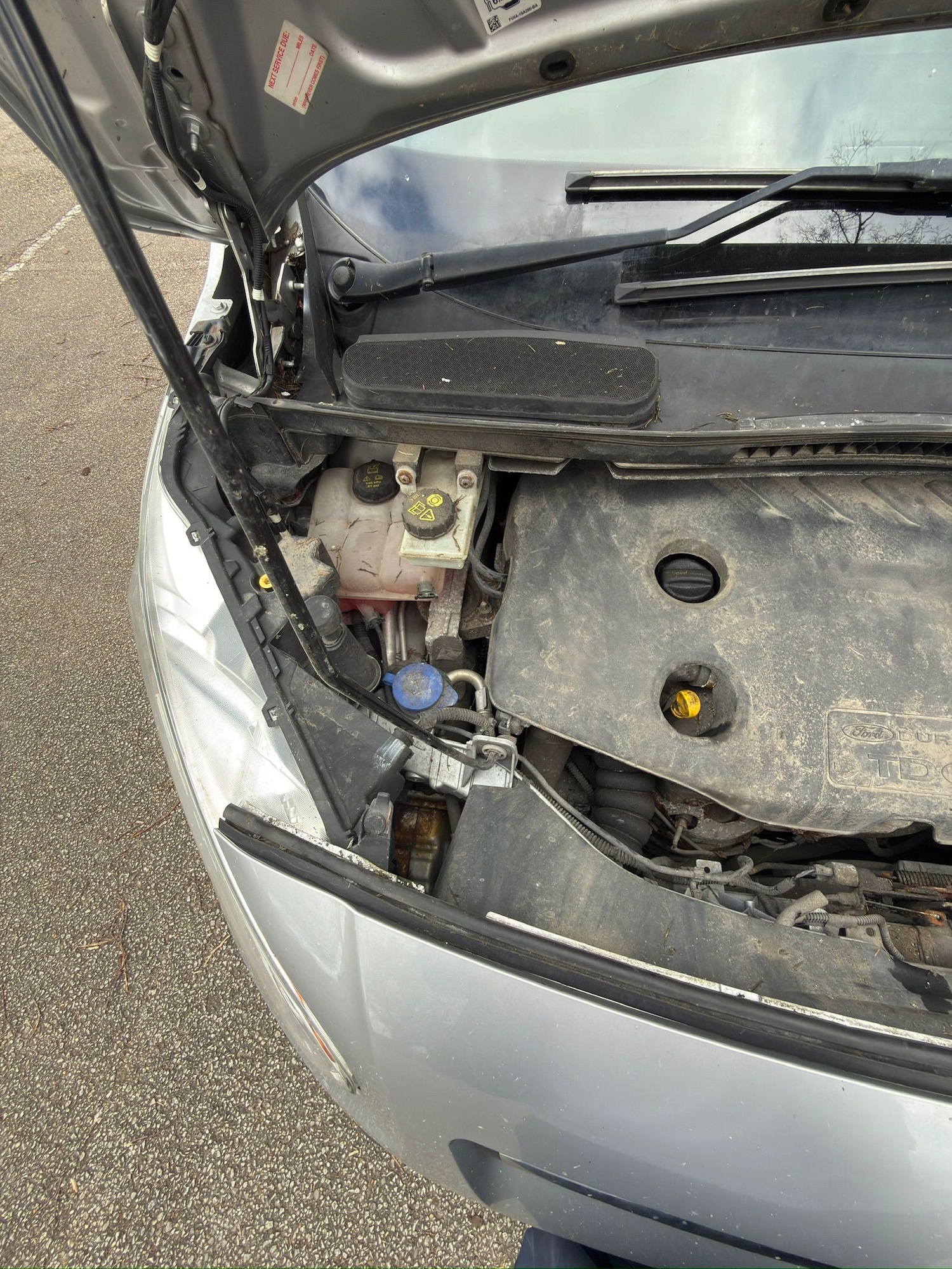 Used Ford Transit Connect 2016 for sale - 77677251: Photo 15