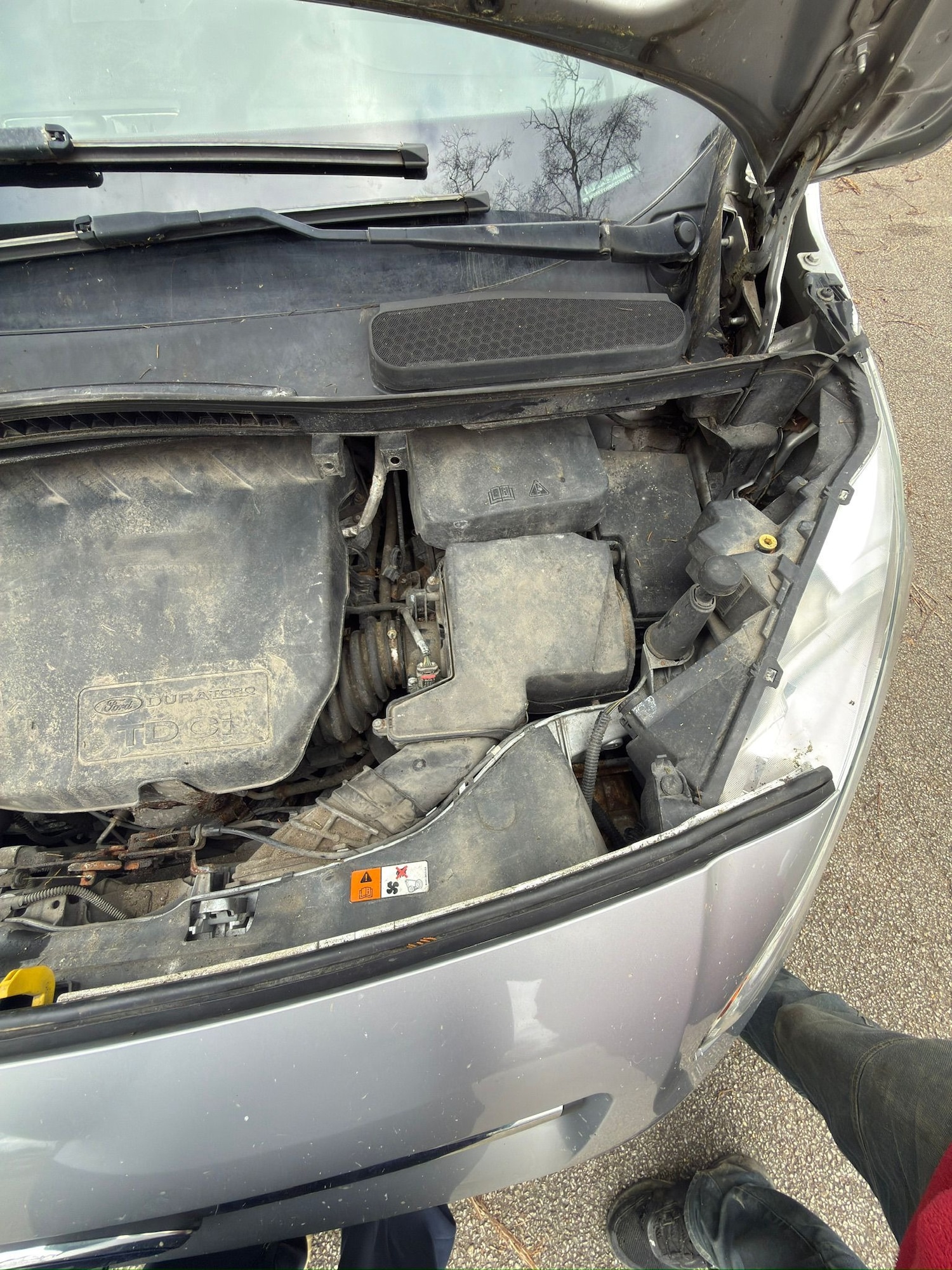 Used Ford Transit Connect 2016 for sale - 77677251: Photo 16