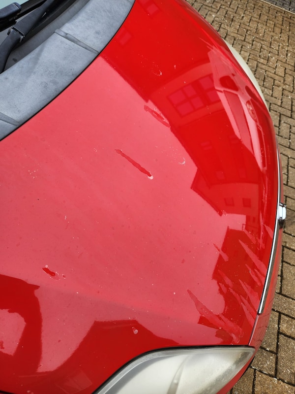 Used Fiat Punto Evo 2010 for sale - 76287337: Photo 15