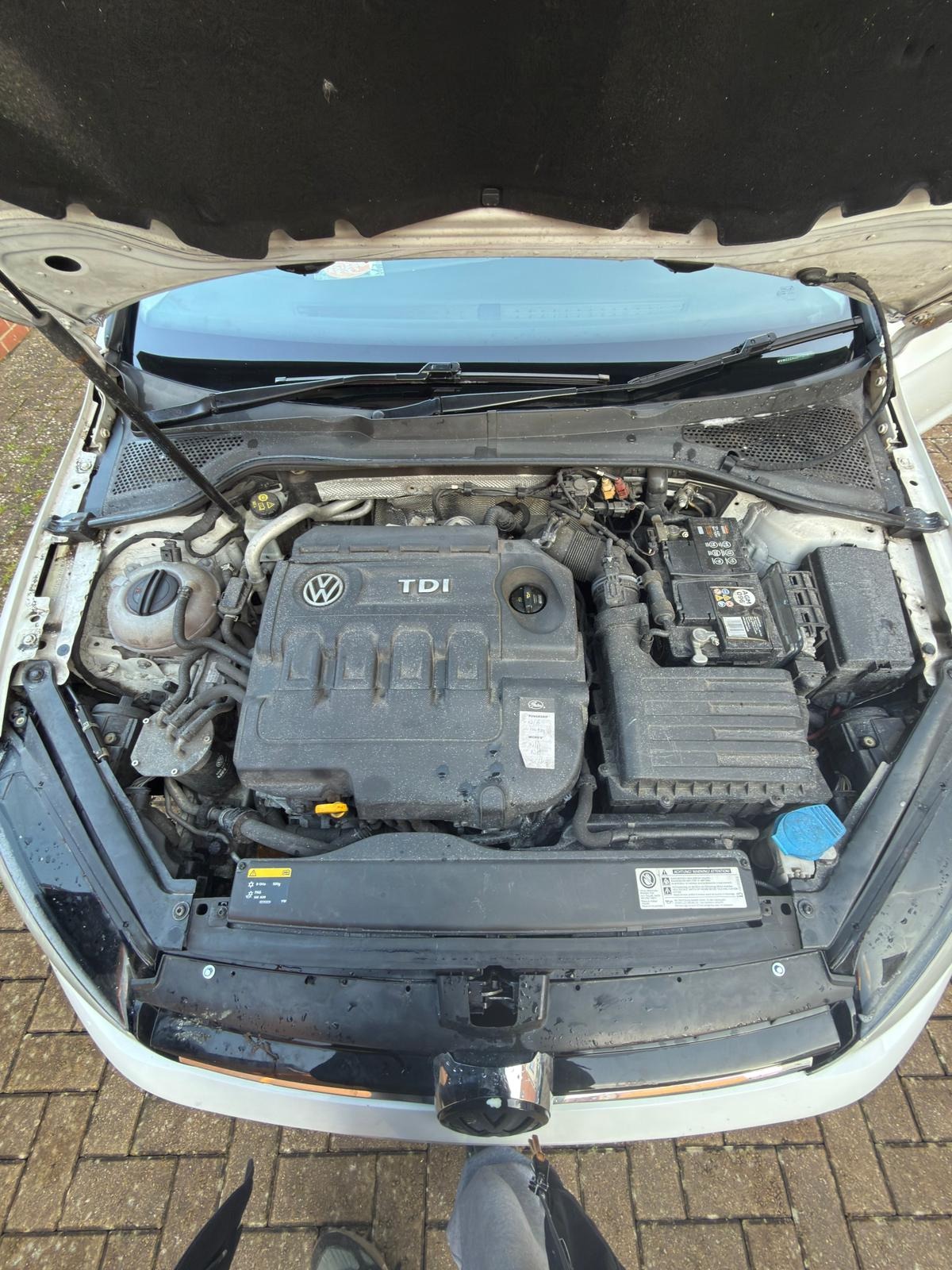 Used Volkswagen Golf 2014 for sale - 77225255: Photo 29