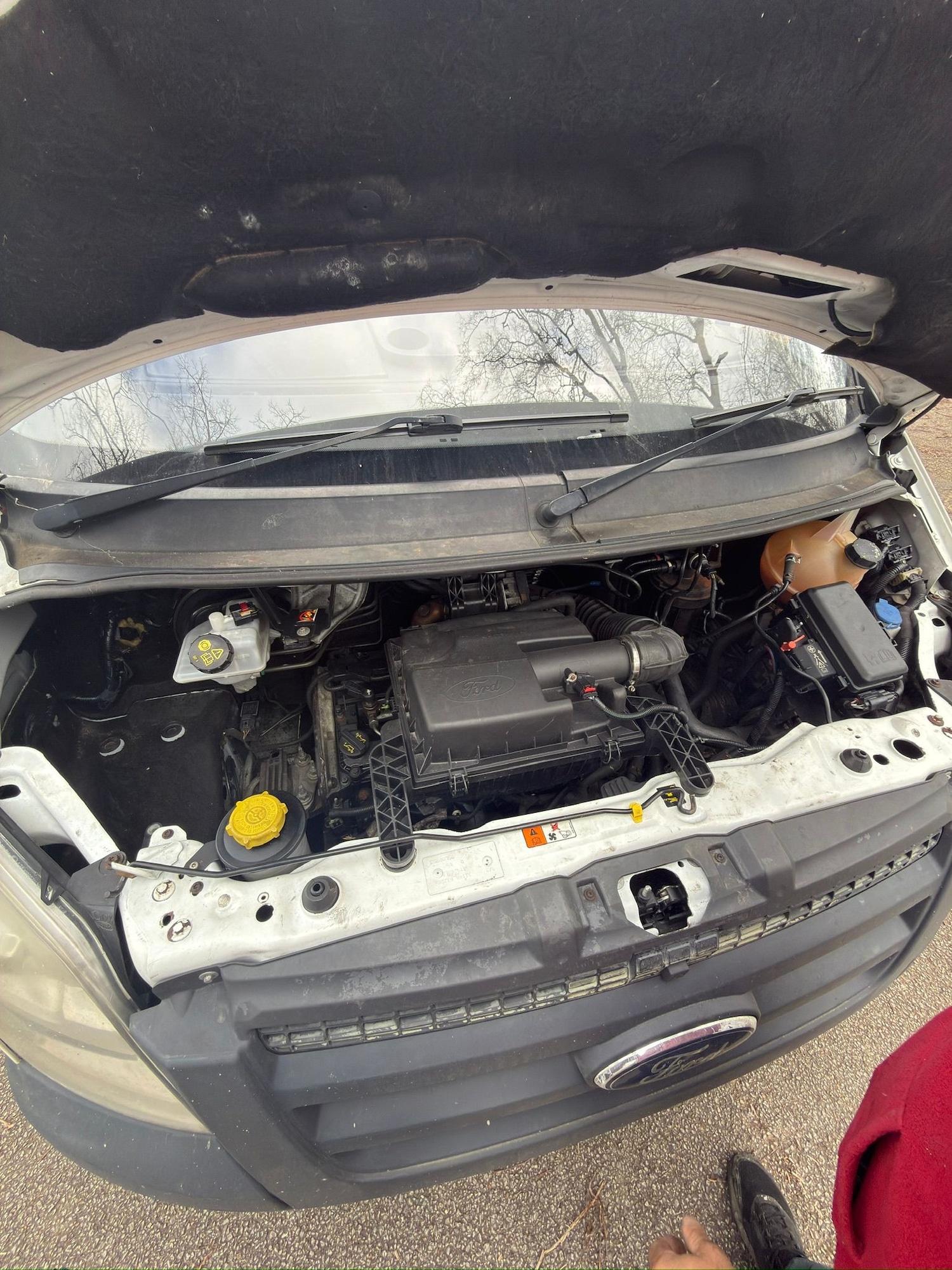 Used Ford Transit 2012 for sale - 77677262: Photo 19