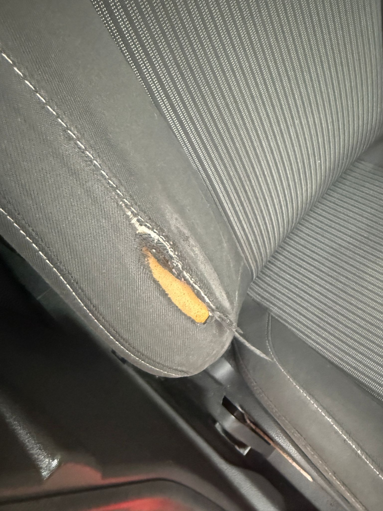 Used Ford Focus 2014 for sale - 77033535: Photo 20