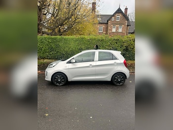 Used Kia Picanto 2015 for sale - 78734684: Photo