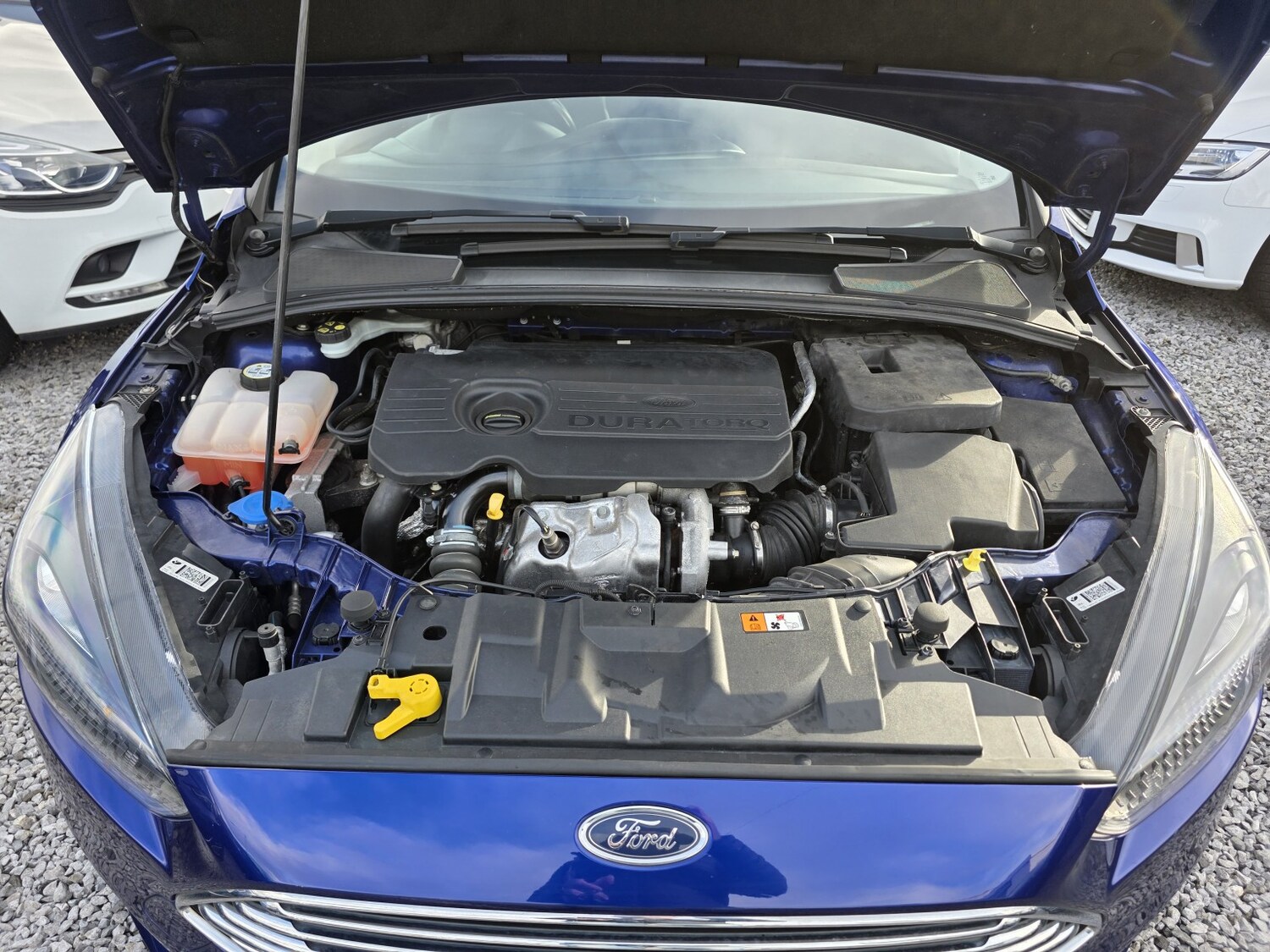 Used Ford Focus 2016 for sale - 77584578: Photo 30