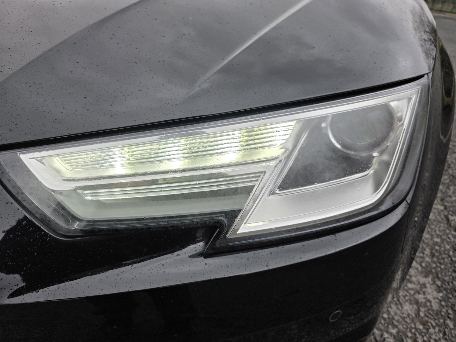 Used Audi A4 2016 for sale - 77303569: Photo 49