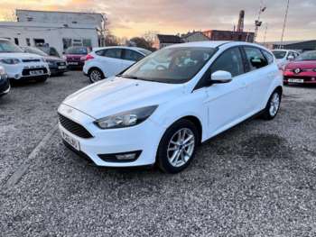 Used Ford Focus 2016 for sale - 74651147: Photo