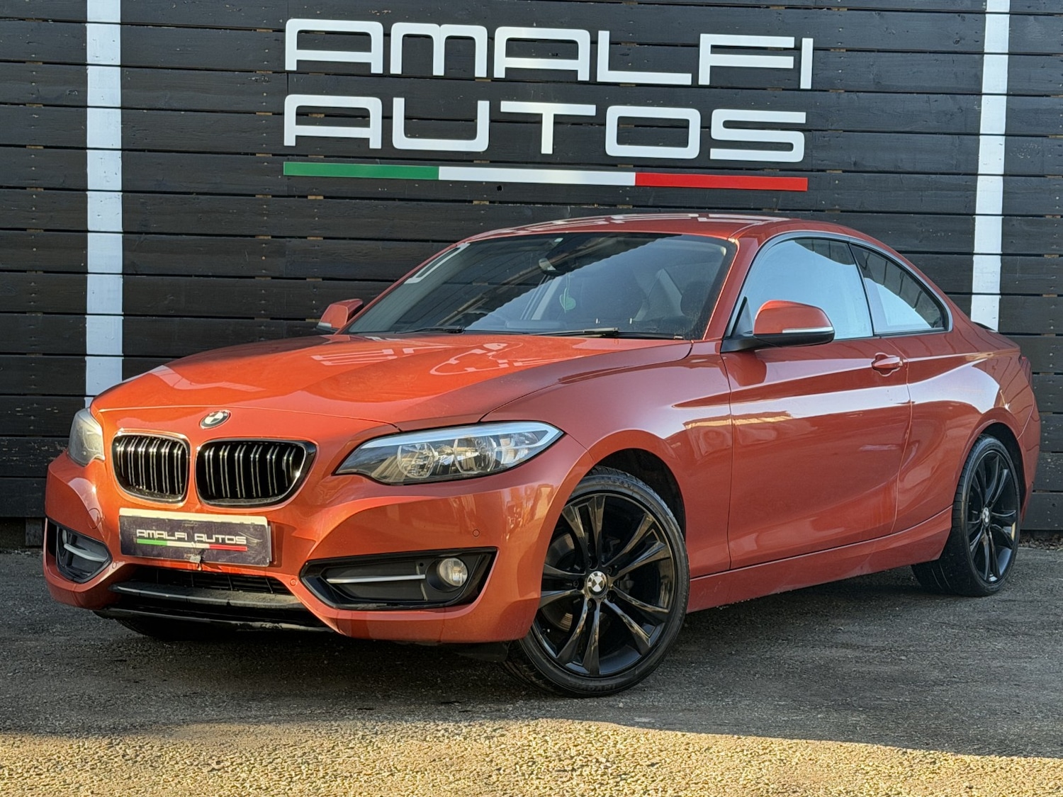 Used BMW 2 Series 2016 for sale - 77096944: Photo 1