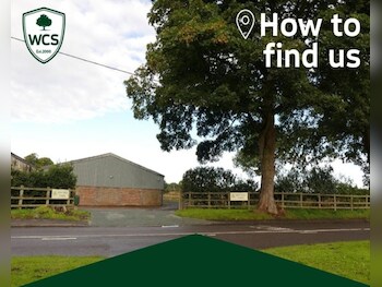 Used SEAT Ibiza 2018 for sale - 77594160: Photo