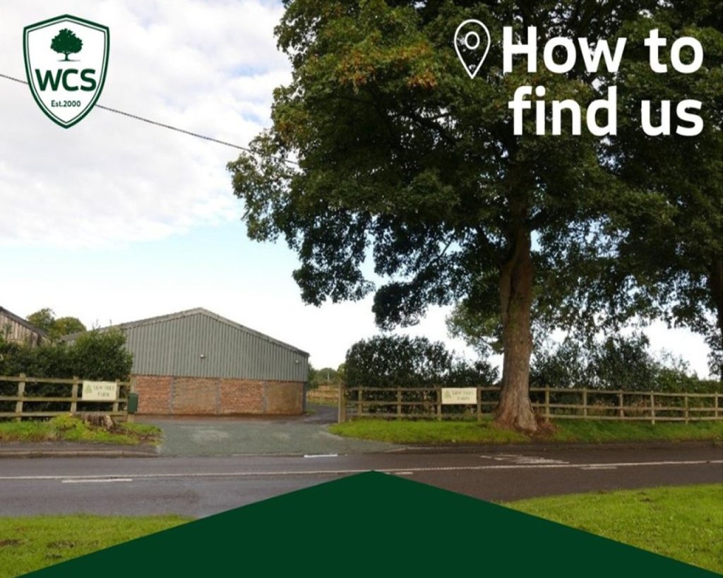 Used Skoda Superb 2020 for sale - 76879059: Photo 2