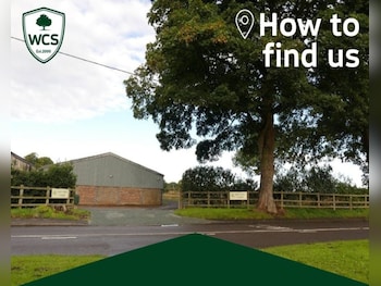 Used Fiat 500X 2022 for sale - 77780828: Photo