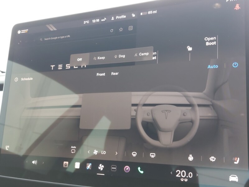 Used Tesla Model 3 2022 for sale - 77418726: Photo 18