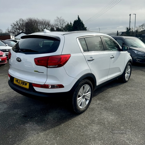 Used Kia Sportage 2014 for sale - 77697234: Photo 3