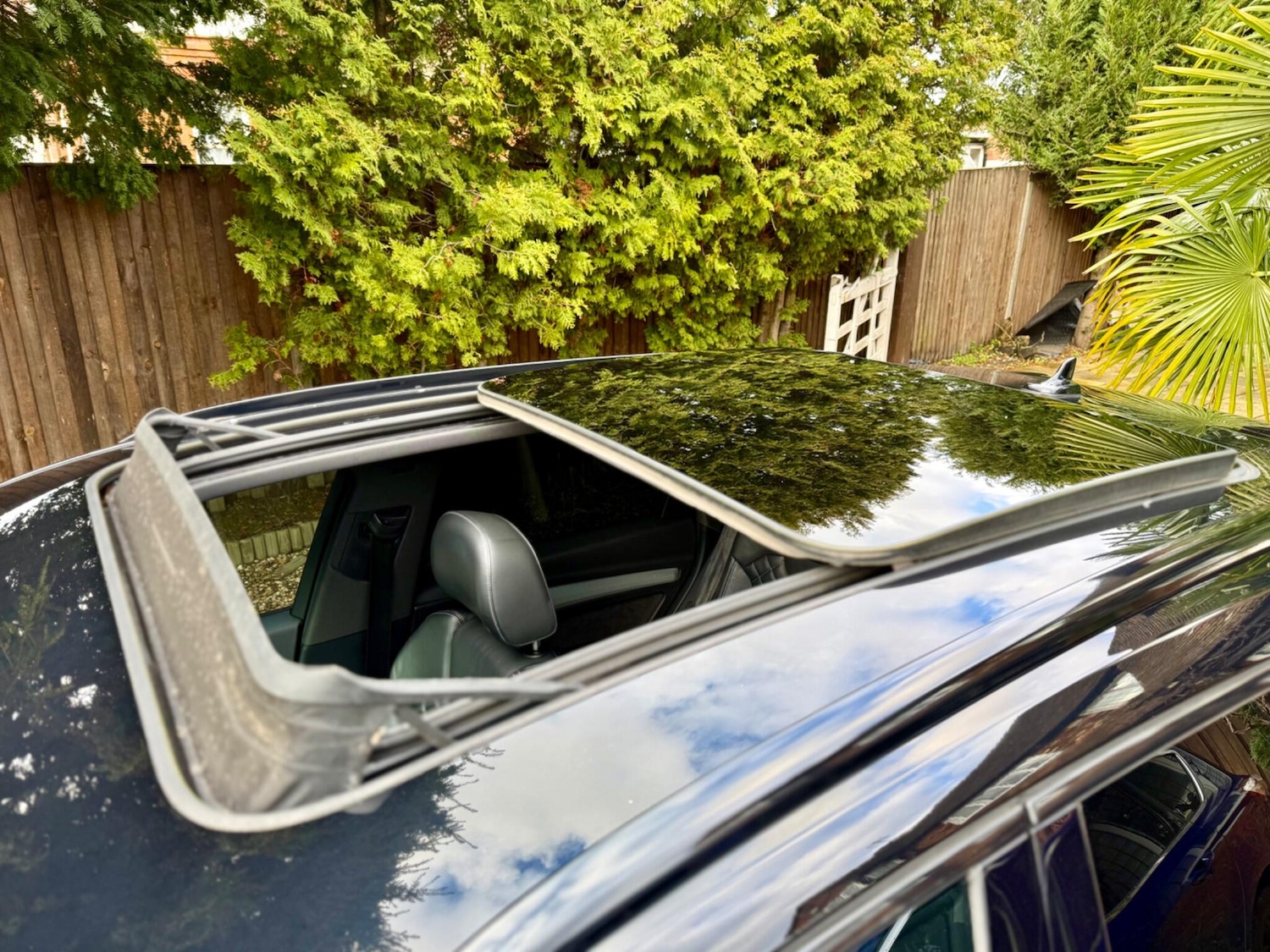 Used Audi Q5 for sale - 77705541: Photo 6