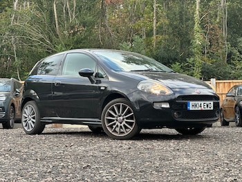 Used Fiat Punto 2014 for sale - 79543066: Photo