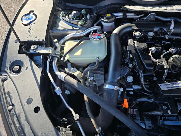 Used Honda Civic 2019 for sale - 76031568: Photo 17
