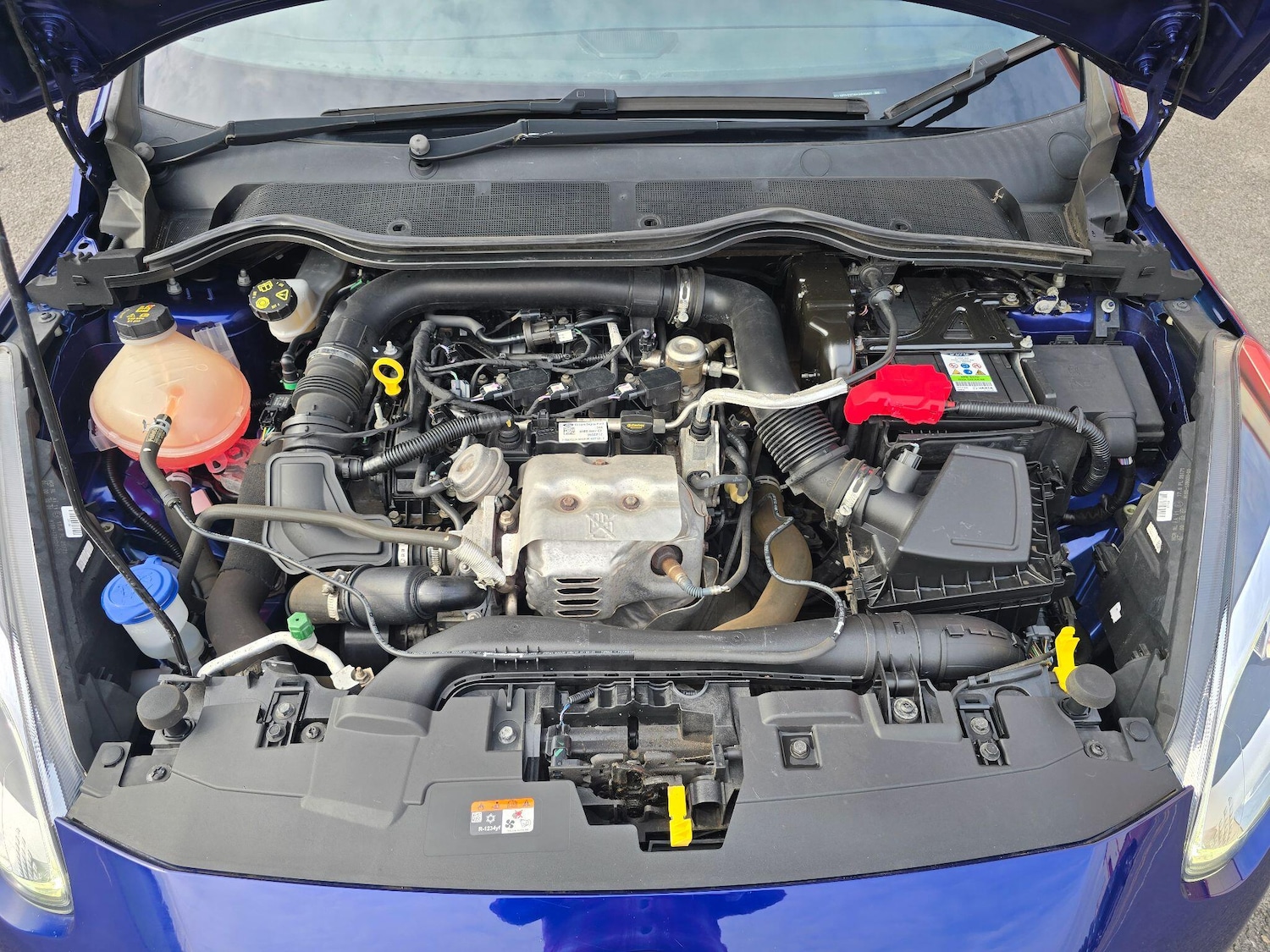 Used Ford Fiesta 2017 for sale - 76032357: Photo 21