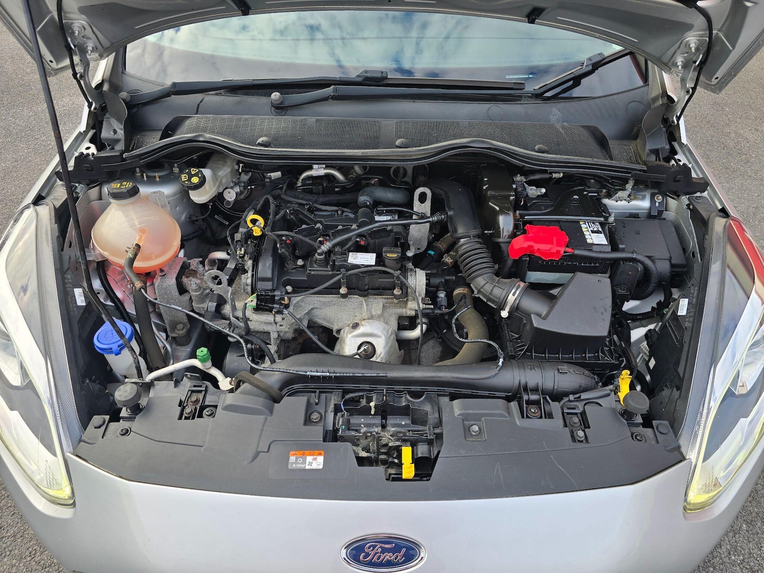 Used Ford Fiesta 2017 for sale - 76993989: Photo 19