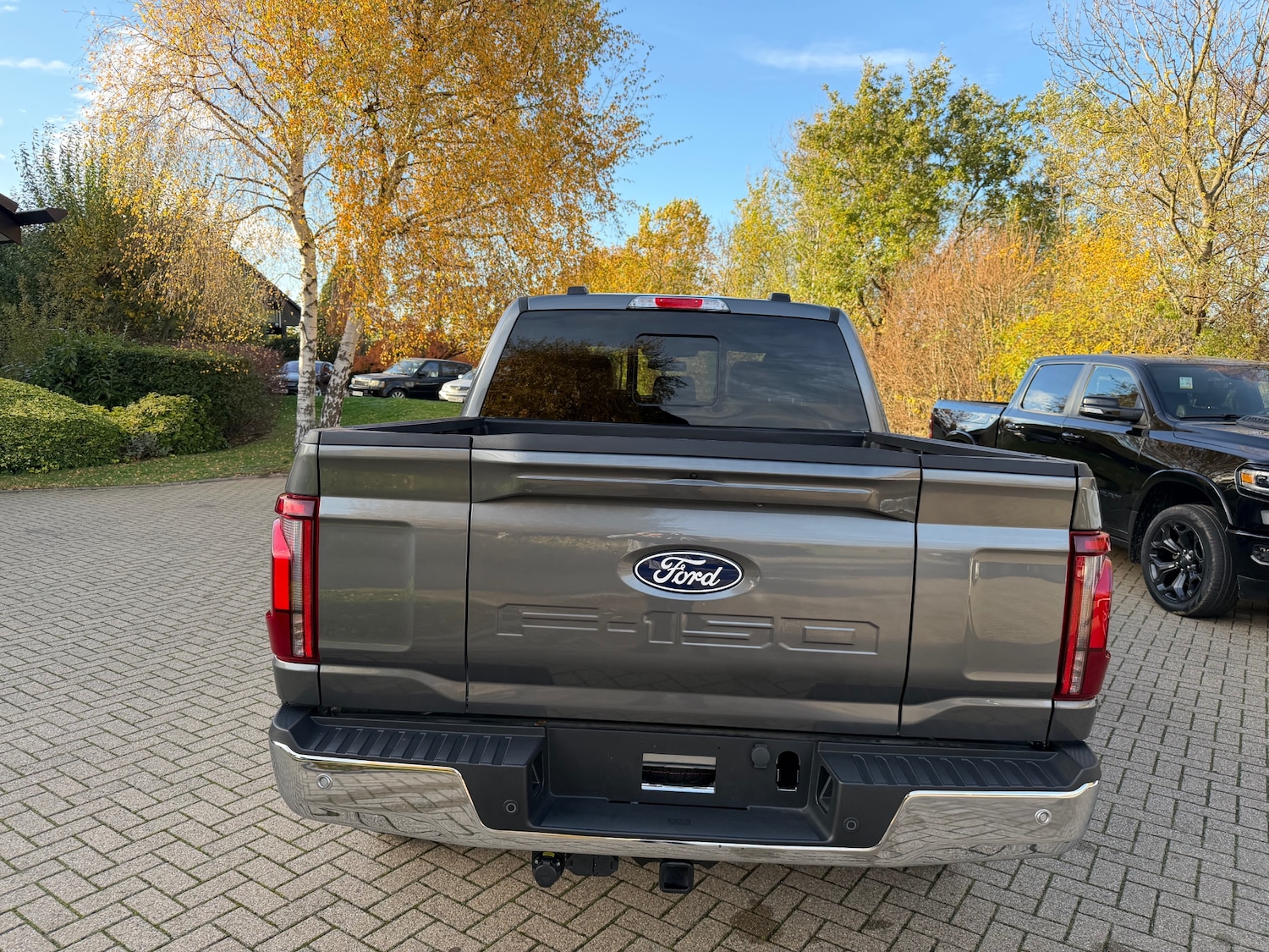 Used Ford F150 for sale - 76444518: Photo 3