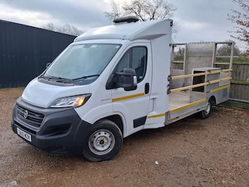 Used Fiat Ducato 2021 for sale - 77151181: Photo