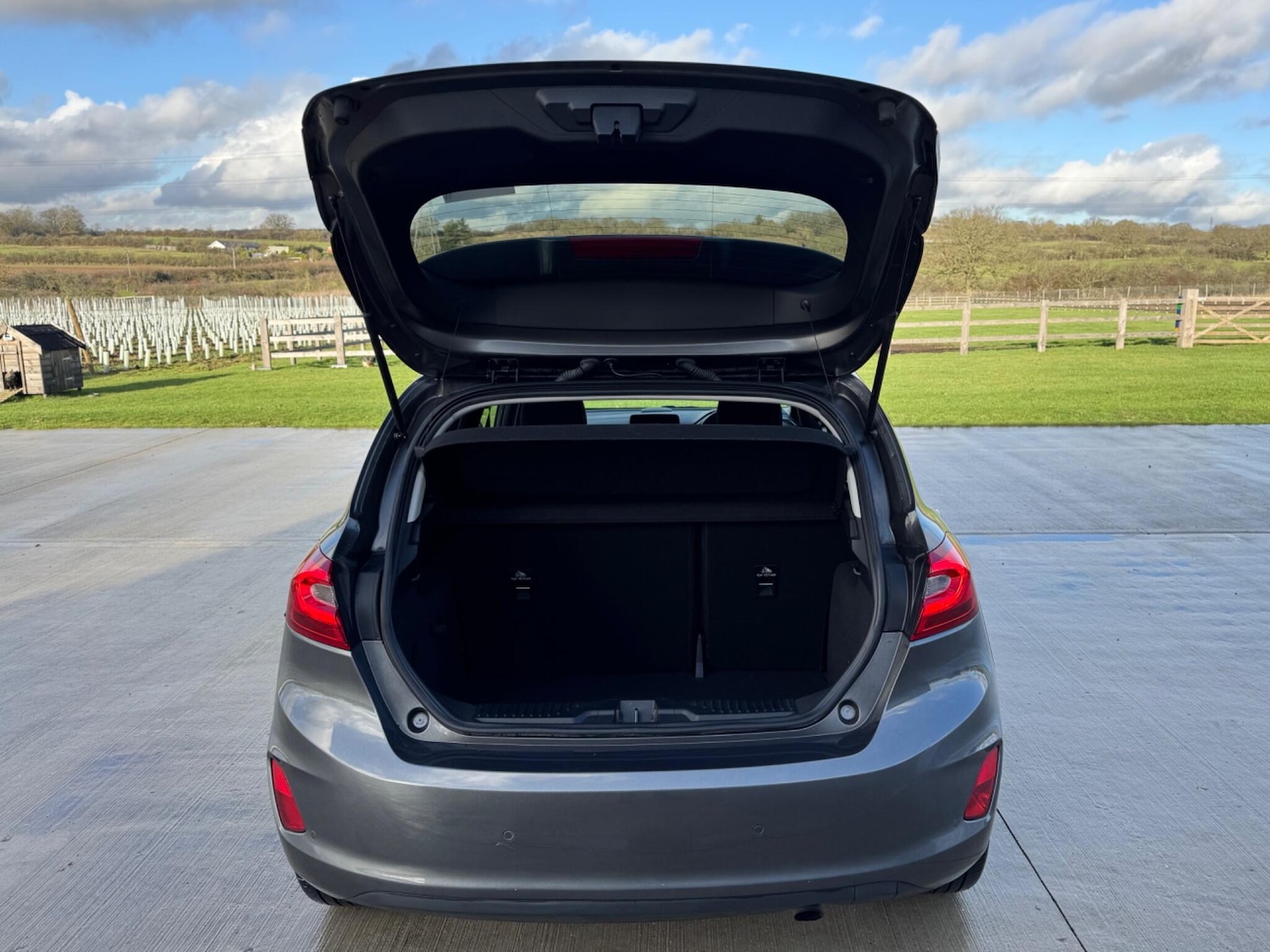 Used Ford Fiesta 2017 for sale - 77230517: Photo 10