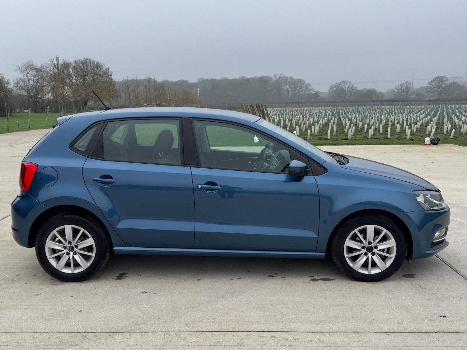 Used Volkswagen Polo for sale - 77808091: Photo 5