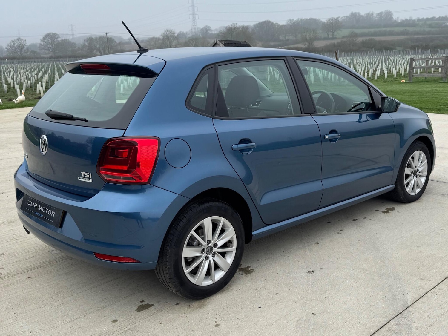 Used Volkswagen Polo for sale - 77808091: Photo 6
