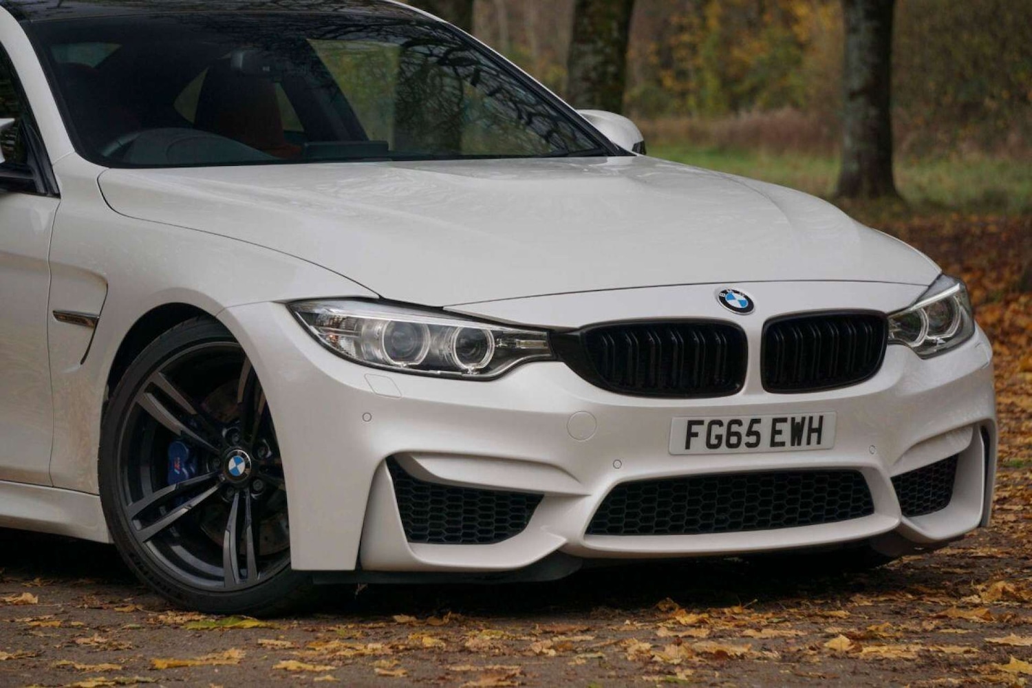 Used BMW M4 2015 for sale - 76720213: Photo 83